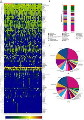 Alteration and clinical potential in gut microbiota in patients with cerebral small vessel disease